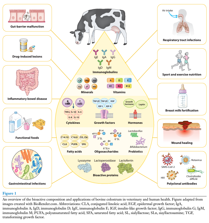 chrome-extension://efaidnbmnnnibpcajpcglclefindmkaj/https://www.annualreviews.org/deliver/fulltext/food/14/1/annurev-food-060721-014650.pdf?itemId=/content/journals/10.1146/annurev-food-060721-014650&mimeType=application/pdf
