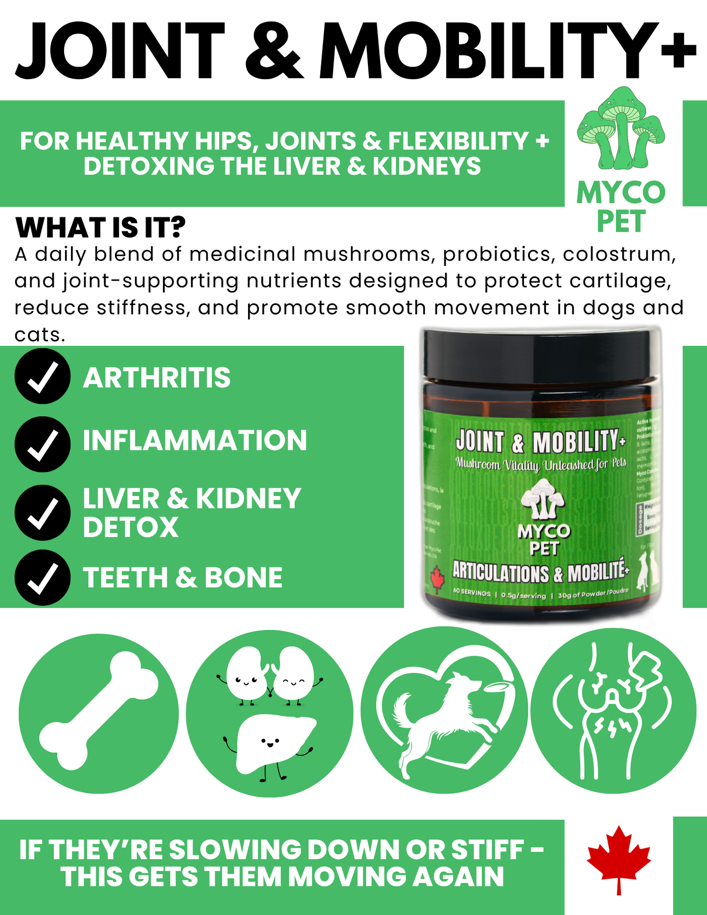 Articulations et récupération