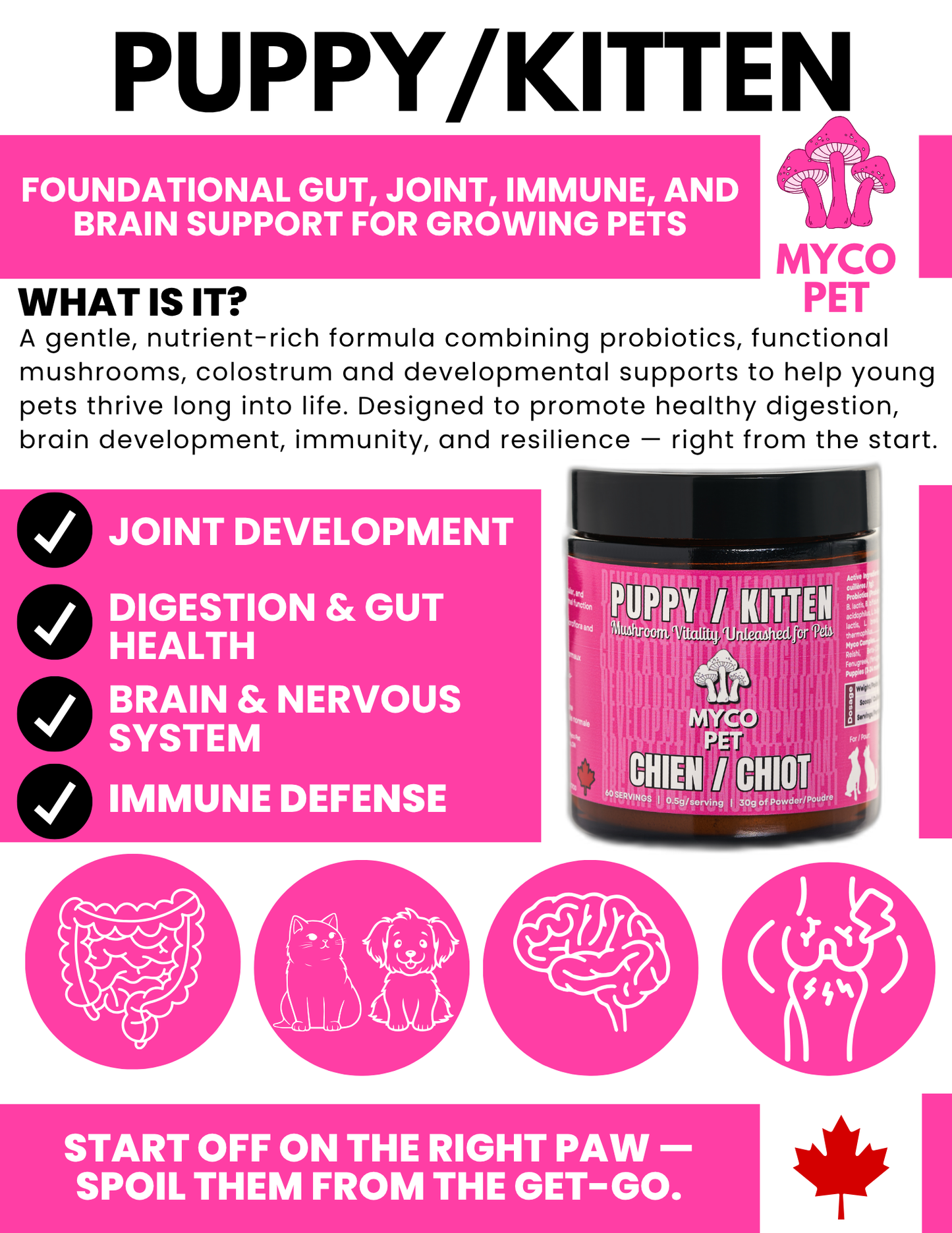 Puppy/Kitten Formula