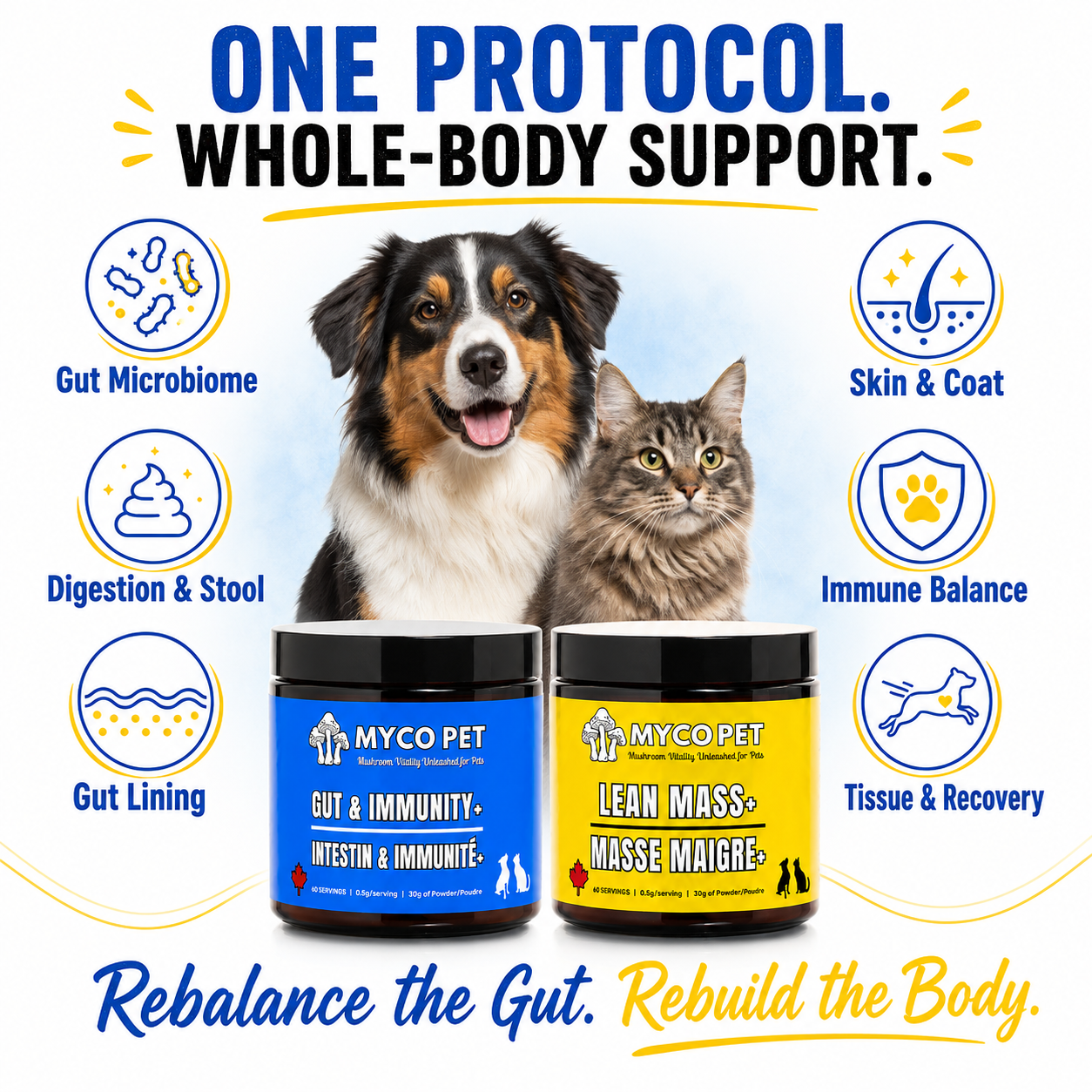 Leaky Gut Protocol for Dogs & Cats