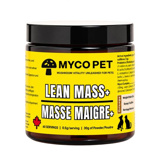 Lean Mass+