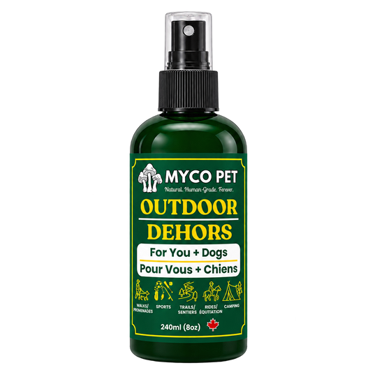 OUTDOOR Coat Spray