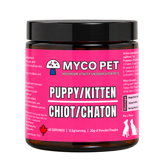 Puppy/Kitten