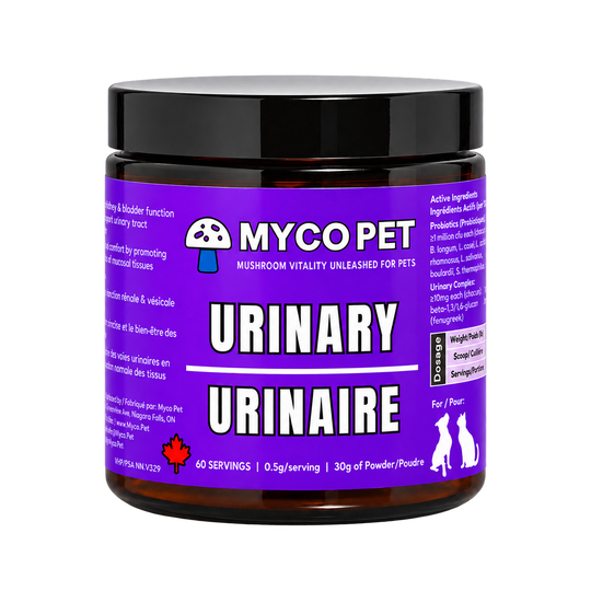 Urinary