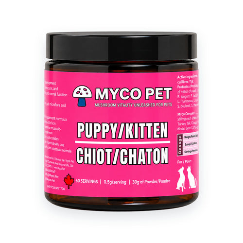 Puppy/Kitten Formula: For developing bodies and minds. Give them the best start to life!