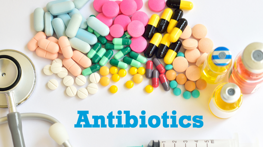 Understanding Antibiotics: The Good, the Bad, and the Ugly for Dogs, Cats, and Horses