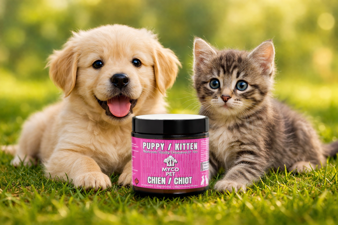 Give Your Puppy or Kitten the Best Start: Building Lifelong Health from Day One