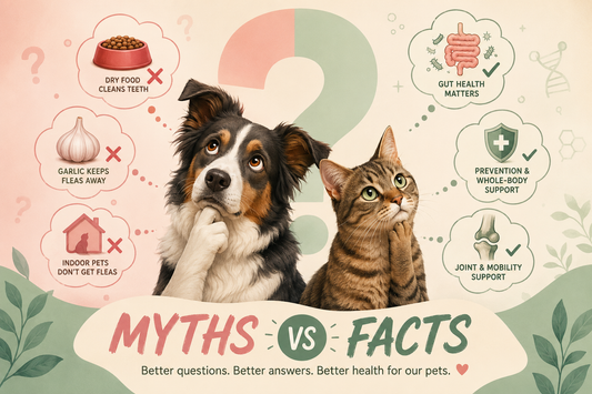 7 Outdated Pet Care Myths Every Dog & Cat Owner Should Stop Believing