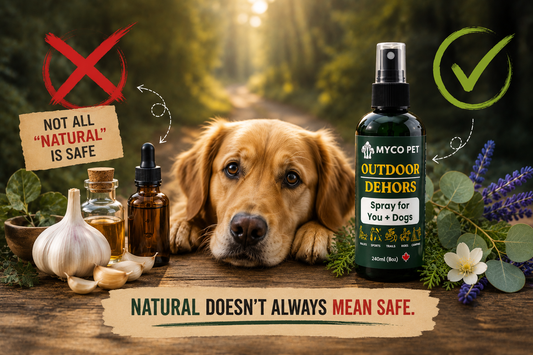 Think All Natural Flea & Tick Remedies Are Safe? Think Again.