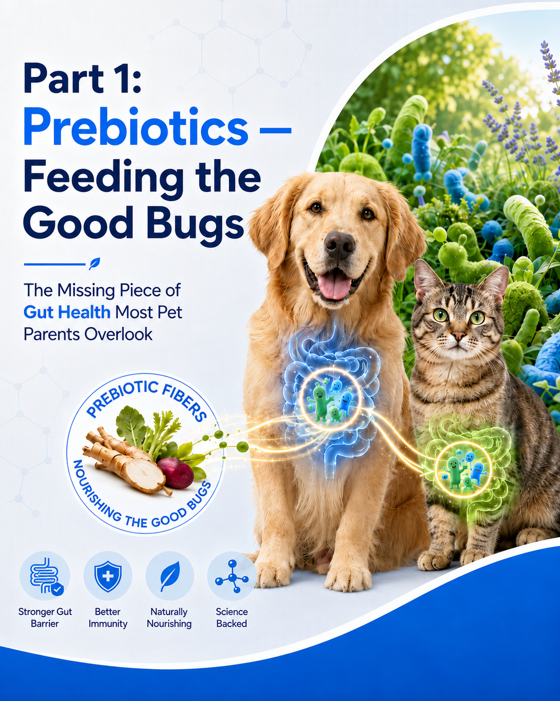 Part 1: Prebiotics — Feeding the Good Bugs