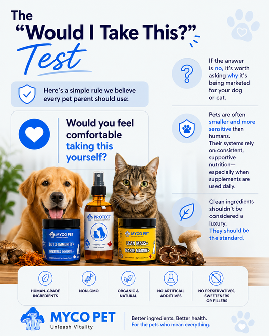 Human-Grade Pet Supplements: Why Ingredient Quality Matters More Than Most Pet Parents Realize
