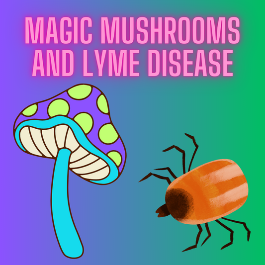 Exploring the Potential of Mushrooms in Managing Chronic Lyme Disease
