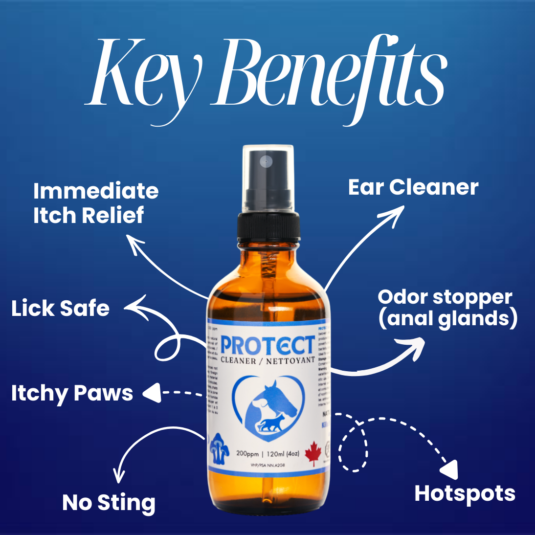 A Myco Pet Guide to Everyday Skin & Coat Defense