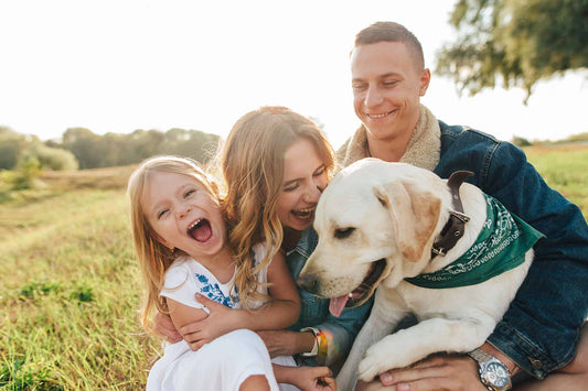 Why We Started Myco Pet: A Journey from Struggle to Solution