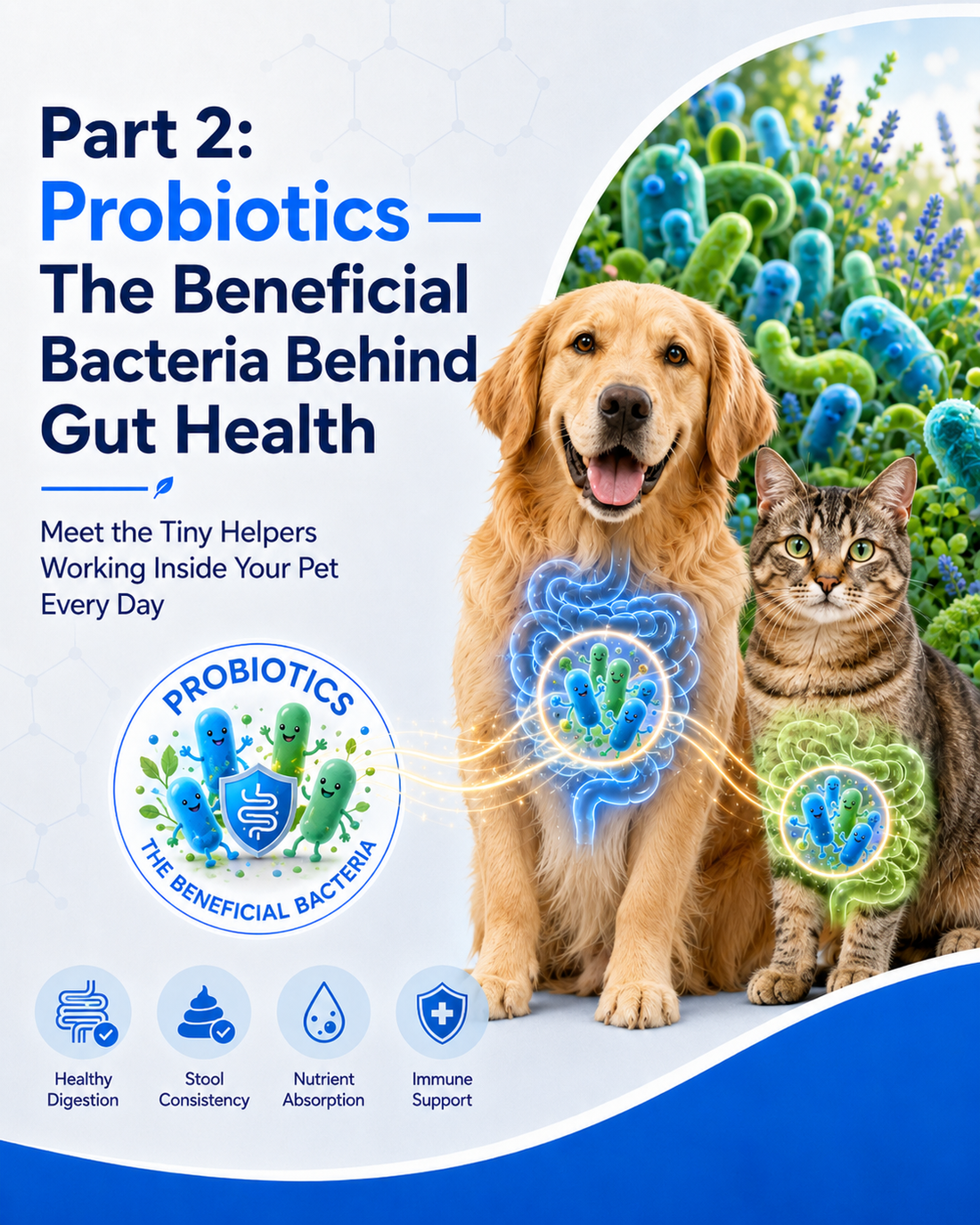 Part 2: Probiotics — The Beneficial Bacteria Behind Gut Health