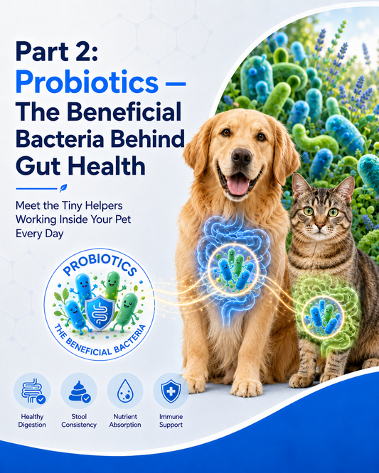 Part 2: Probiotics — The Beneficial Bacteria Behind Gut Health