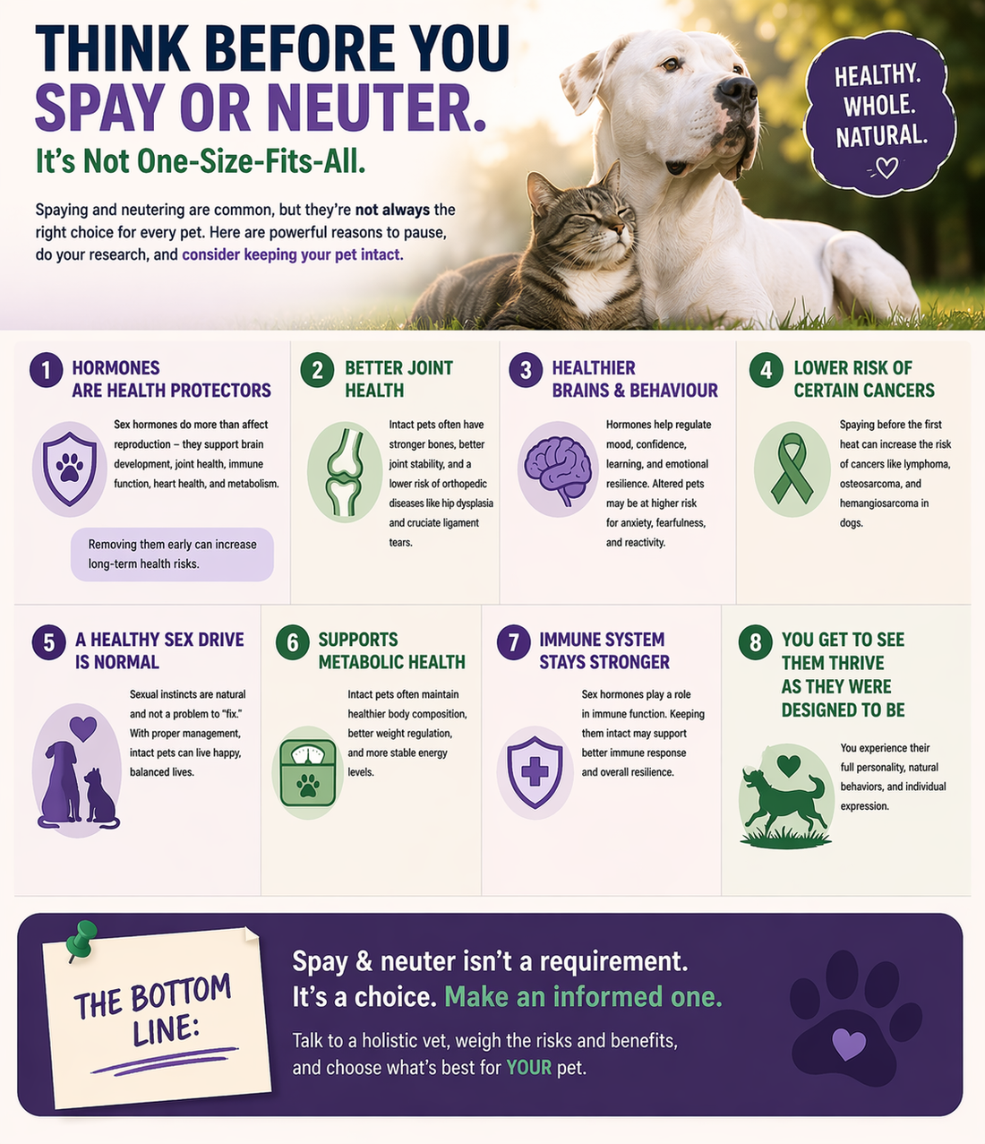 Why Some Pet Parents Choose Not to Spay or Neuter Their Pets?