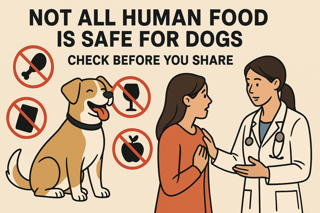 5 Common Human Foods That Can Be Fatal for Your Dog