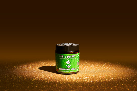 Articulations et récupération 