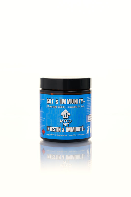 Gut (Allergies) & Immunity +