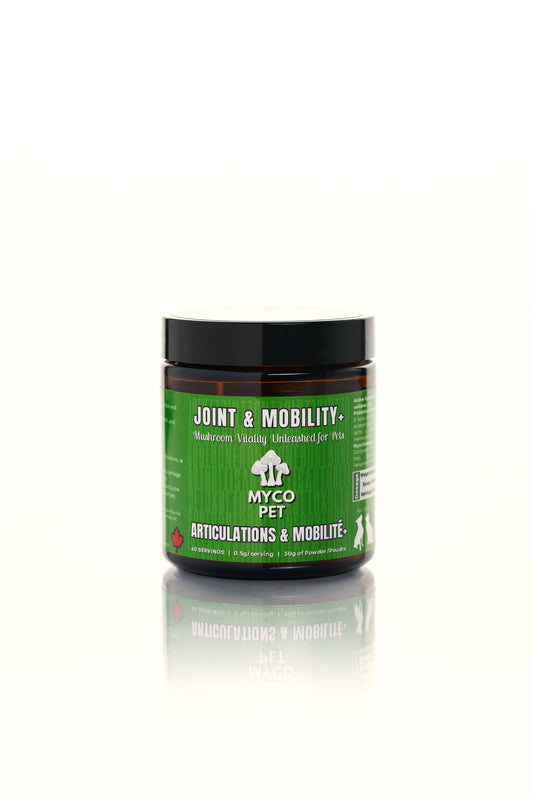Joint & Mobility+