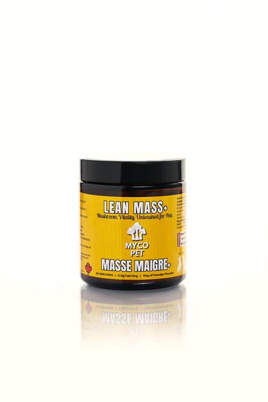 Lean Mass+