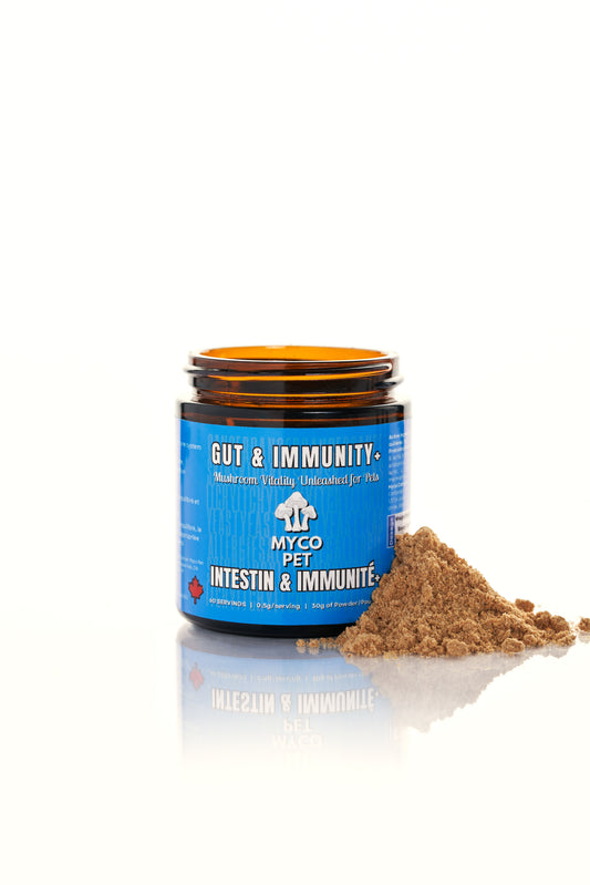 Gut (Allergies) & Immunity +
