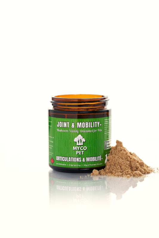 Joint & Mobility+