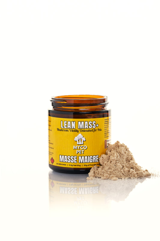 Lean Mass+