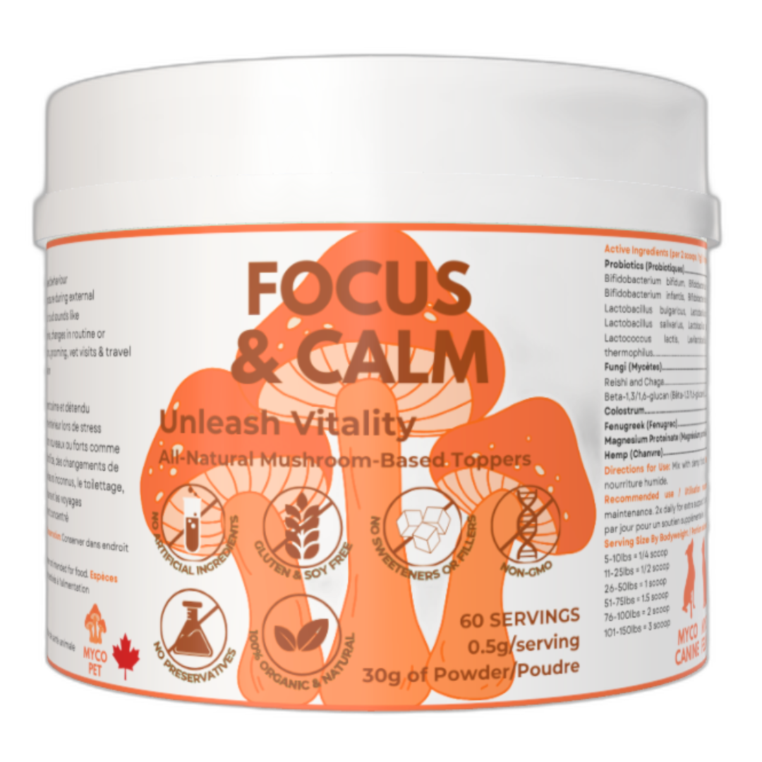 Myco Canine dog supplements calming, stress, anxiety, pain relief, arthritis, allergies immunity immune skin rash hip and knee joints injury and surgery recovery rehab allergies immunity immune gut health probiotics mushrooms chaga turkey tail cordyceps reishi lion's mane health