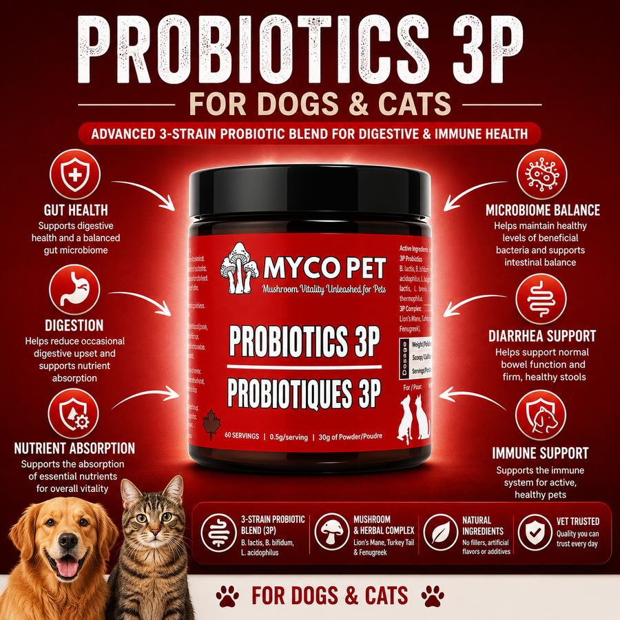 3P Benefits