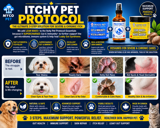 Itchy Pet Protocol for Dogs & Cats — Advanced Gut, Skin, Paw & Hot Spot Support Bundle