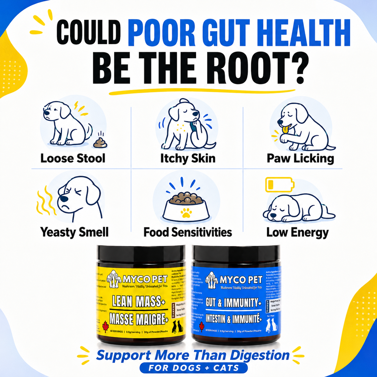 Leaky Gut Protocol for Dogs & Cats