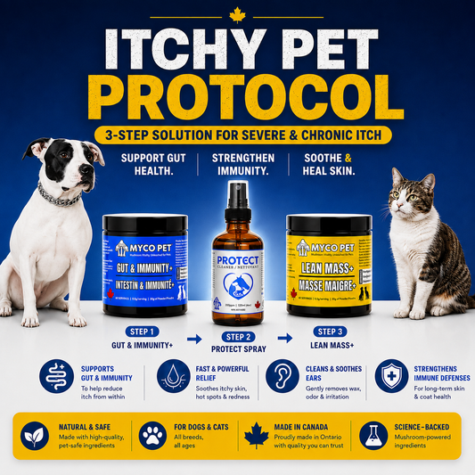 Itchy Pet Protocol for Dogs & Cats — Advanced Gut, Skin, Paw & Hot Spot Support Bundle