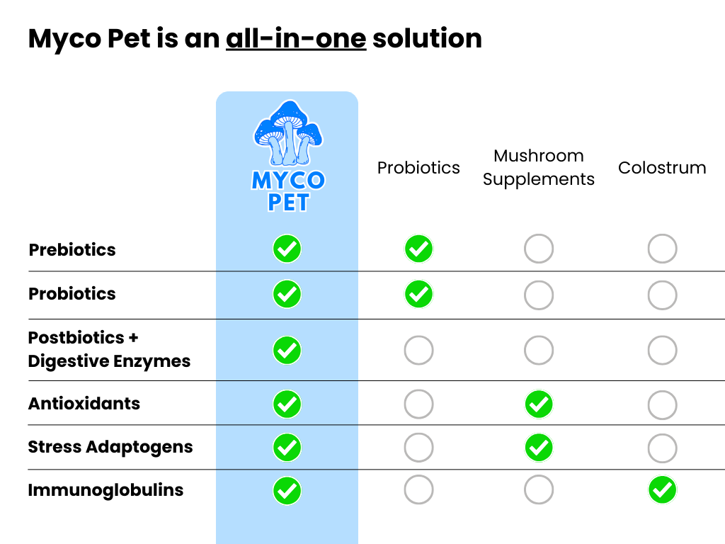 Allergies et immunité 