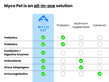 Allergies et immunité 