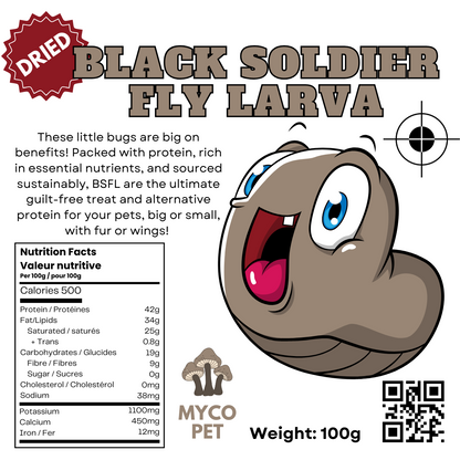 Black Soldier Fly Larva BSFL Dried