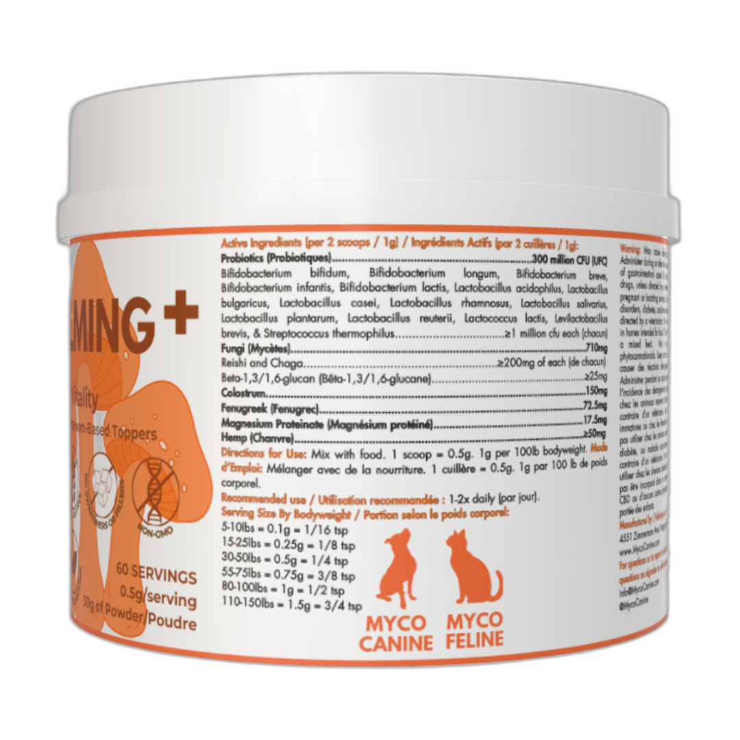 Myco Canine dog supplements calming, stress, anxiety, pain relief, arthritis, allergies immunity immune skin rash hip and knee joints injury and surgery recovery rehab allergies immunity immune gut health probiotics mushrooms chaga turkey tail cordyceps reishi lion's mane health