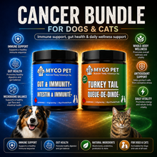 Cancer Bundle