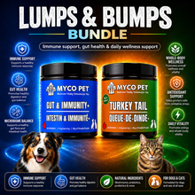 Myco Pet Lumps & Bumps Bundle with Turkey Tail 30:1 extract and Gut & Immunity+ for dogs and cats