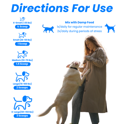 Allergies et immunité 