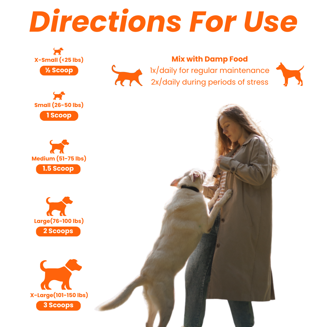 Allergies et immunité 