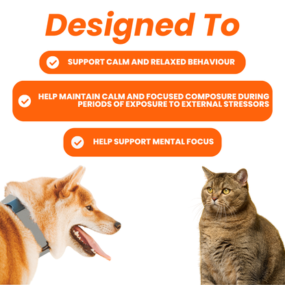 Allergies et immunité 