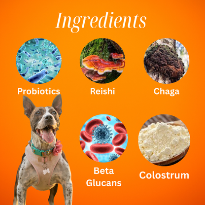 Allergies et immunité 