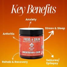 Allergies et immunité 