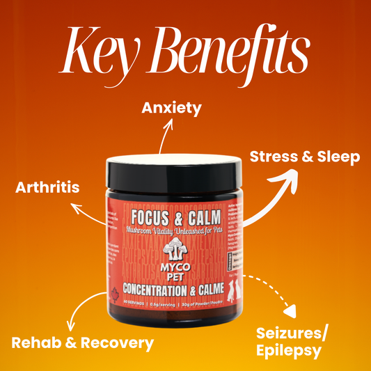 Allergies et immunité 