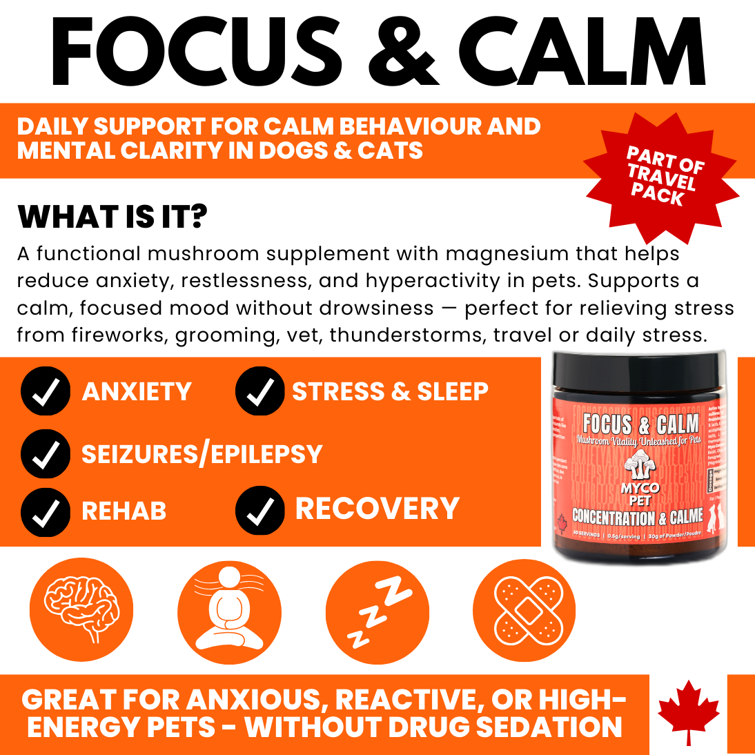 Allergies et immunité 