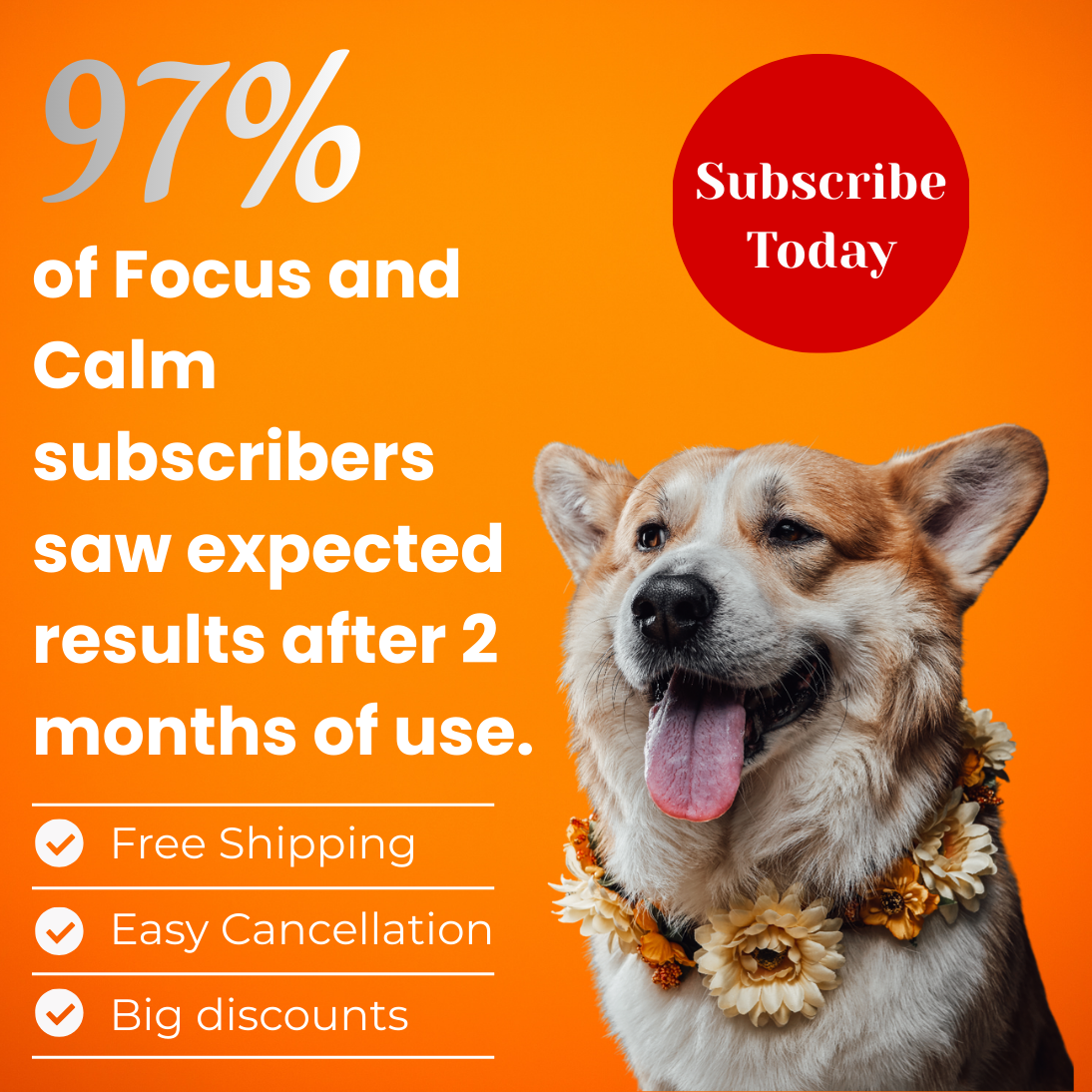 Allergies et immunité 