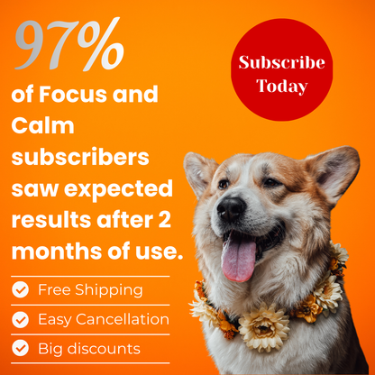 Allergies et immunité 