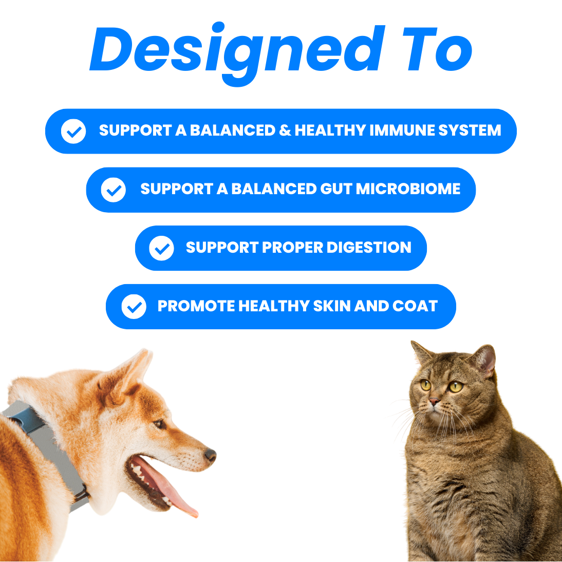 Allergies et immunité 